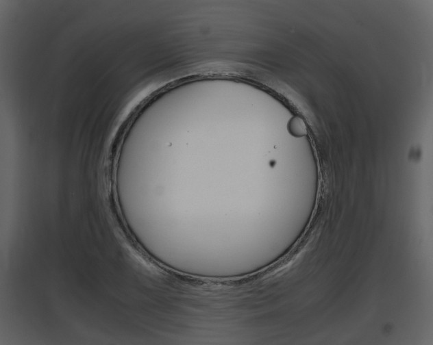 X0000097841075200803140829