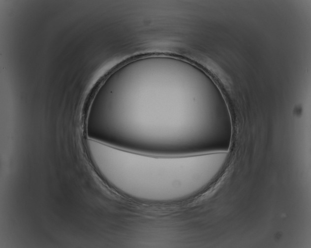 X0000097841077200803140829