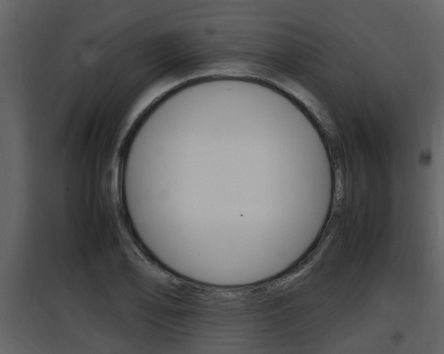 X0000097841078200803140829
