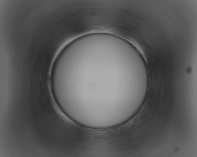 X0000097841080200803140829