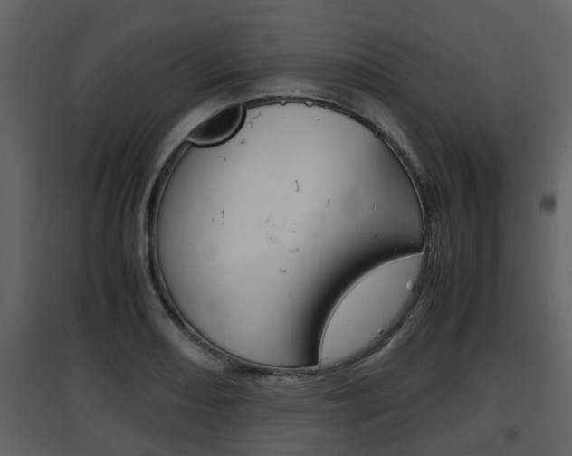 X0000097841082200803140829