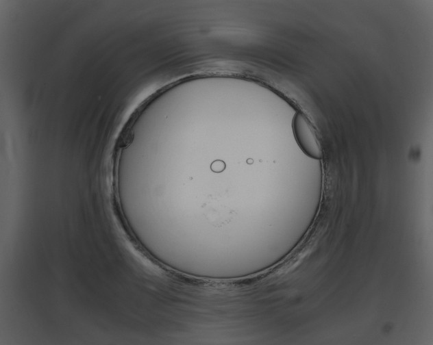 X0000097841083200803140829