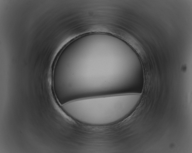 X0000097841084200803140829