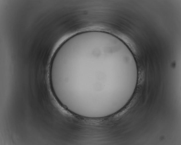 X0000097841086200803140829