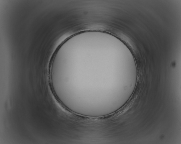 X0000097841087200803140829