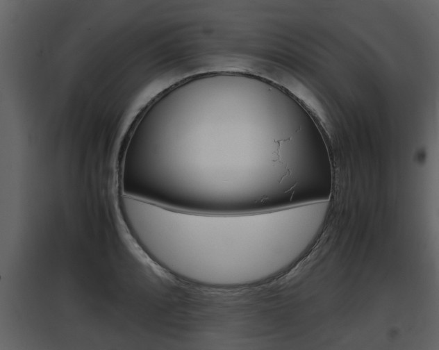 X0000097841088200803140829