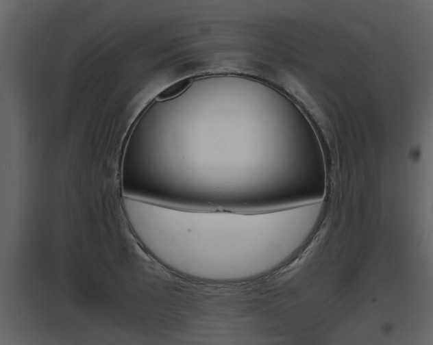 X0000097841089200803140829