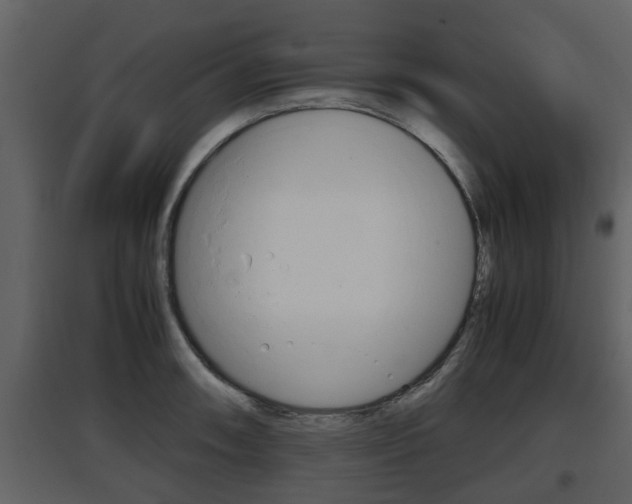 X0000097841090200803140829