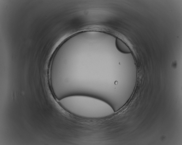 X0000097841091200803140829