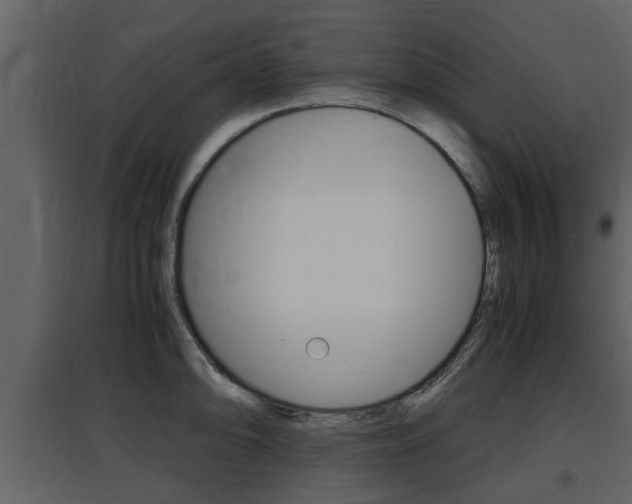 X0000097841094200803140829