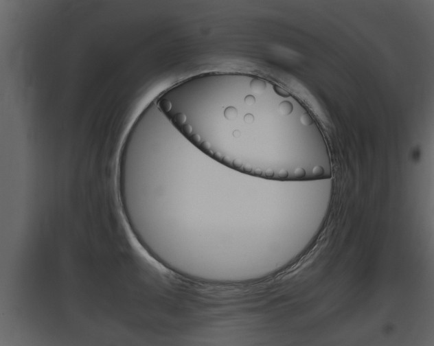 X0000097841095200803140829
