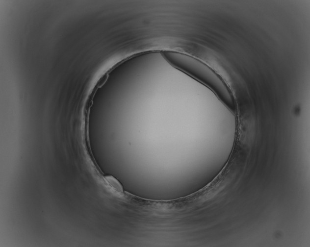 X0000097841096200803140829