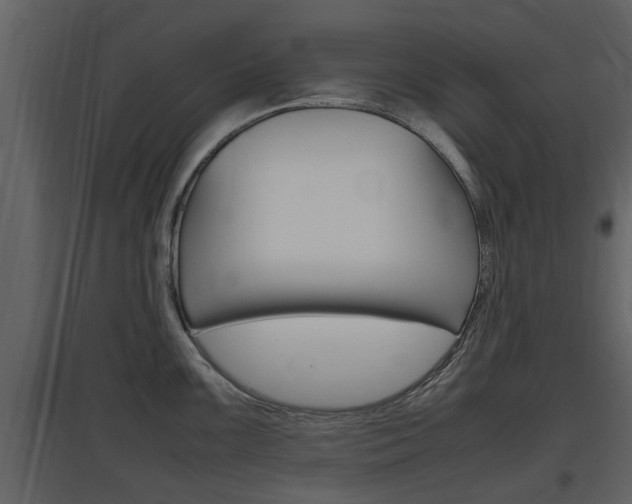 X0000097841099200803140829