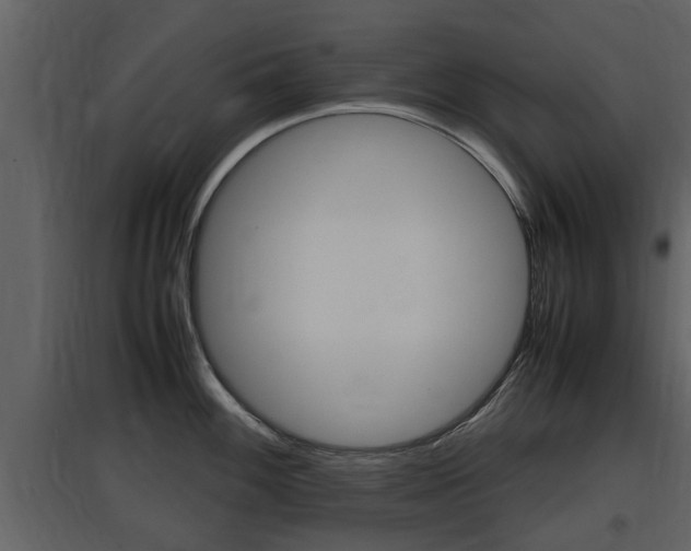 X0000097841100200803140829