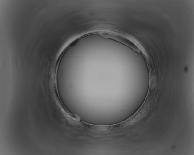 X0000097841101200803140829