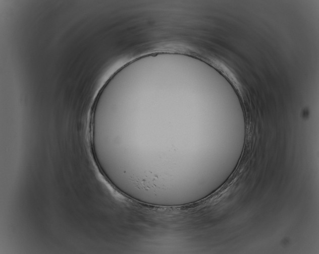 X0000097841103200803140829