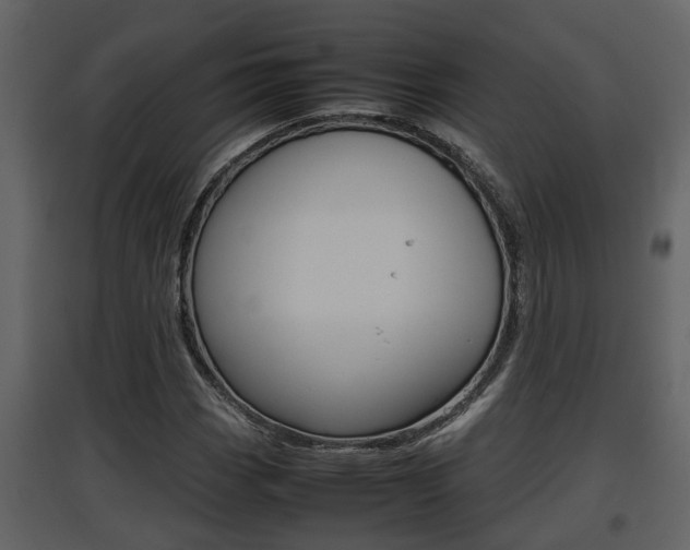 X0000097841113200803140829