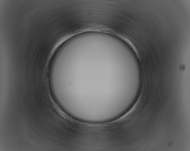 X0000097841114200803140829