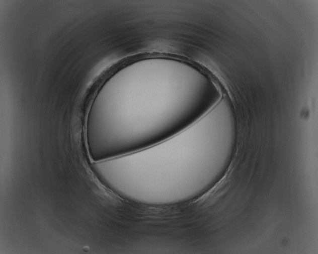 X0000097841115200803140829