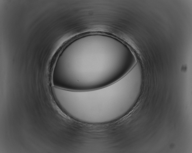 X0000097841116200803140829