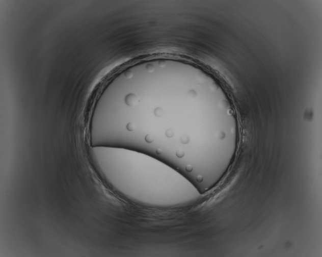 X0000097841117200803140829