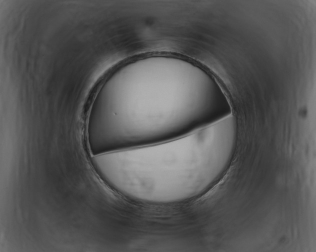 X0000097841119200803140829