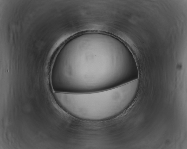 X0000097841120200803140829