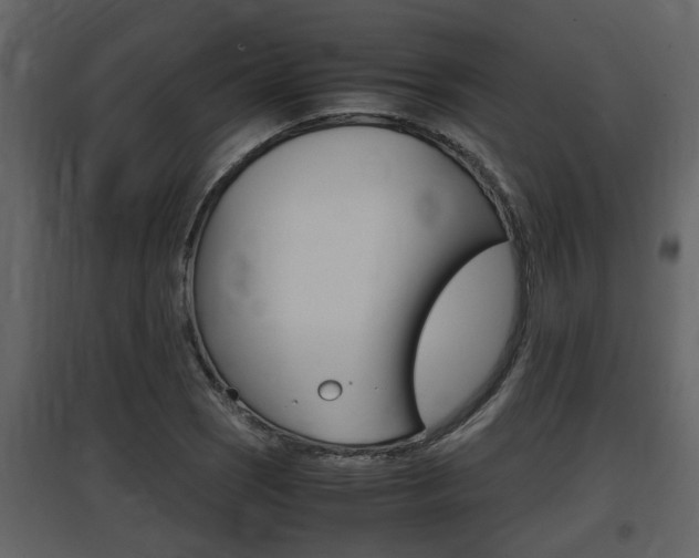 X0000097841121200803140829