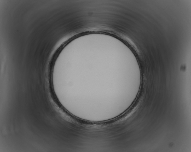 X0000097841122200803140829
