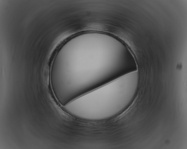 X0000097841123200803140829