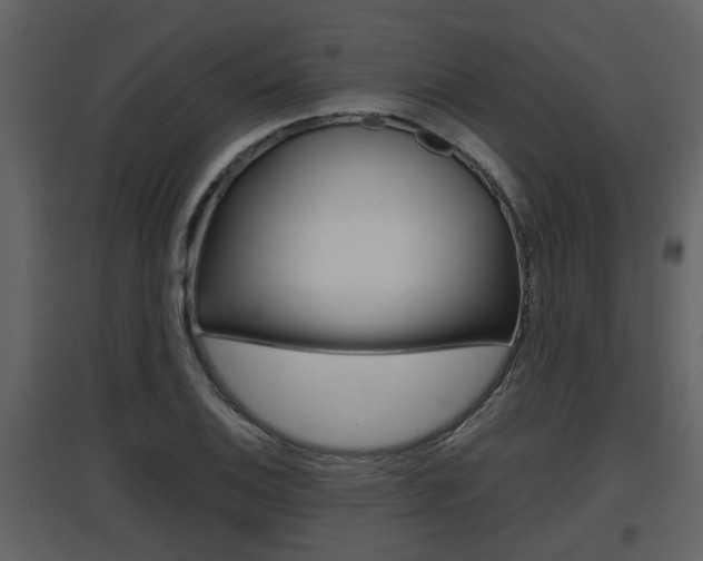 X0000097841124200803140829