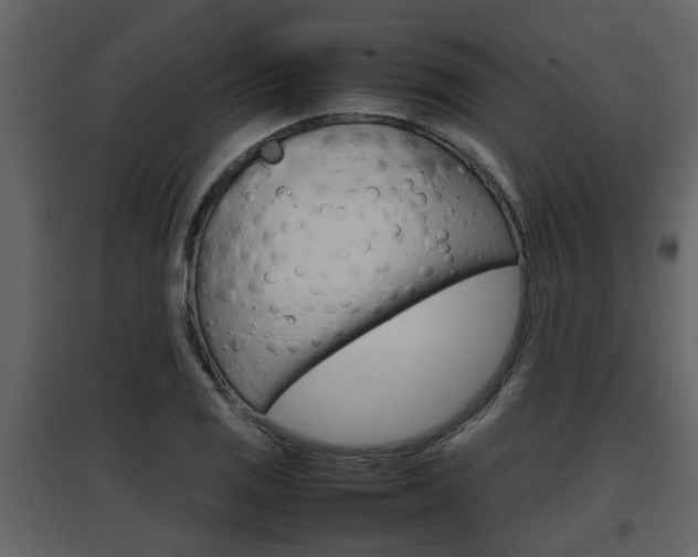 X0000097841125200803140829