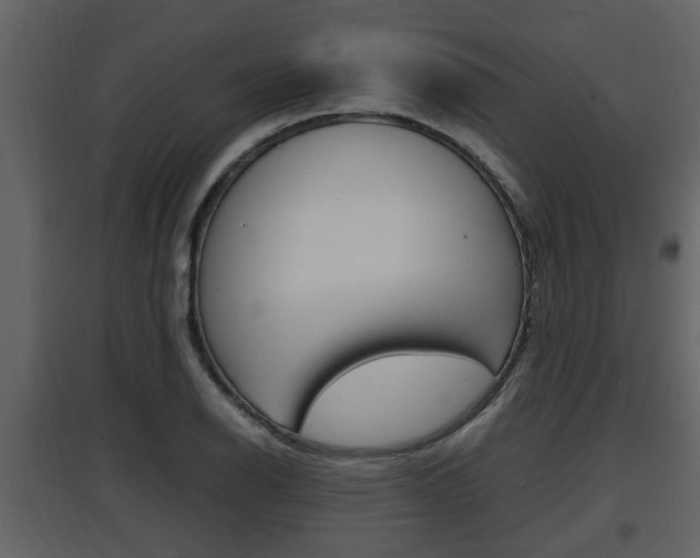 X0000097841126200803140829