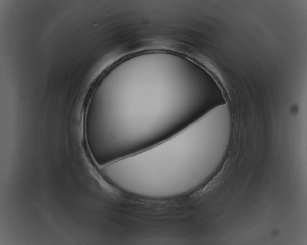X0000097841127200803140829