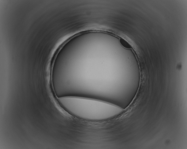X0000097841128200803140829
