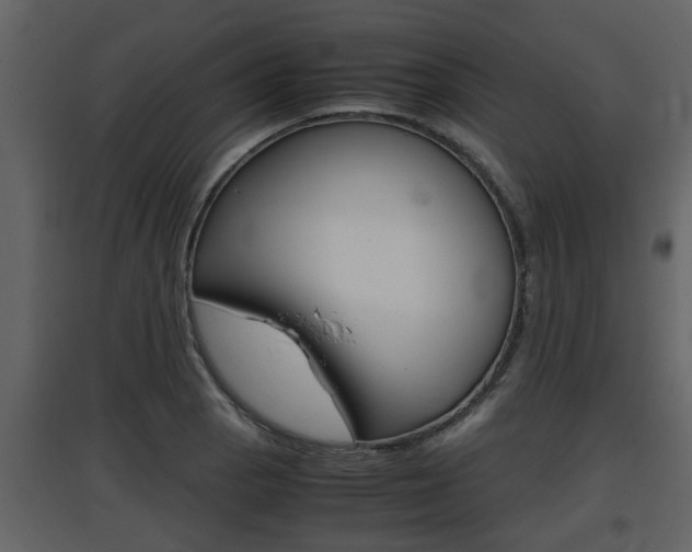 X0000097841129200803140829