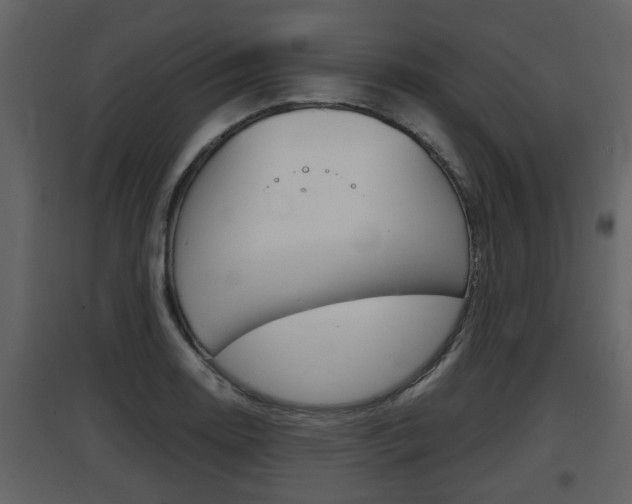 X0000097841130200803140829
