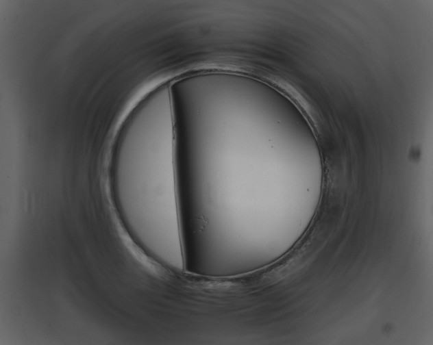 X0000097841131200803140829