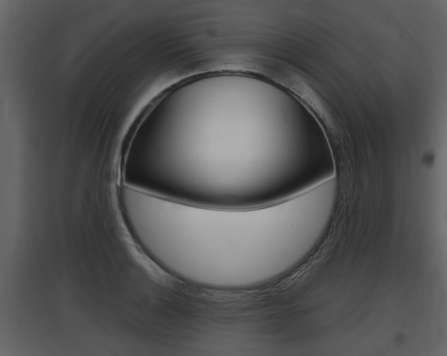 X0000097841132200803140829