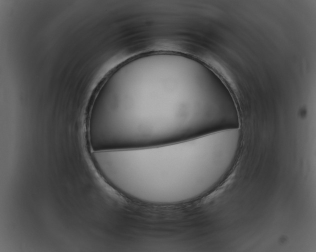 X0000097841133200803140829