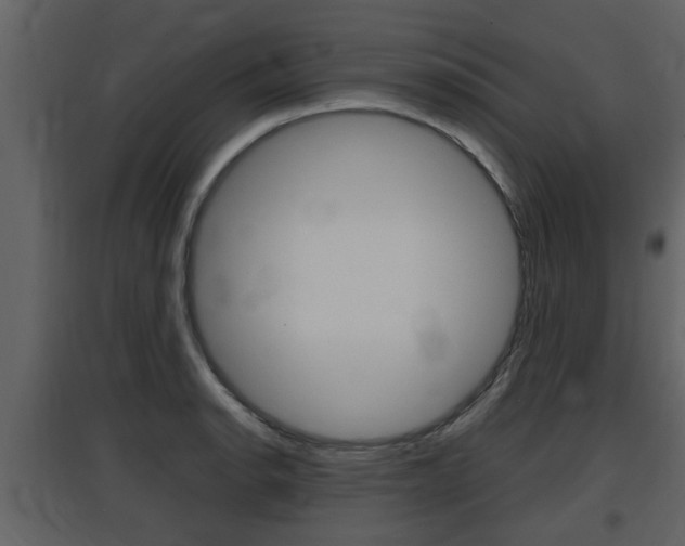 X0000097841134200803140829