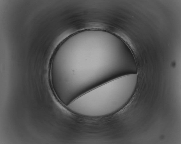 X0000097841135200803140829