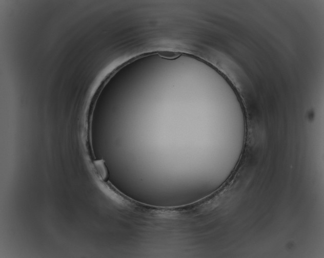 X0000097841136200803140829