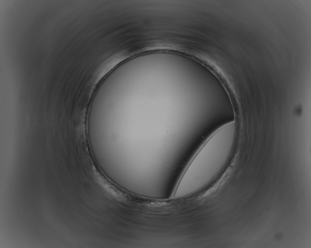 X0000097841137200803140829