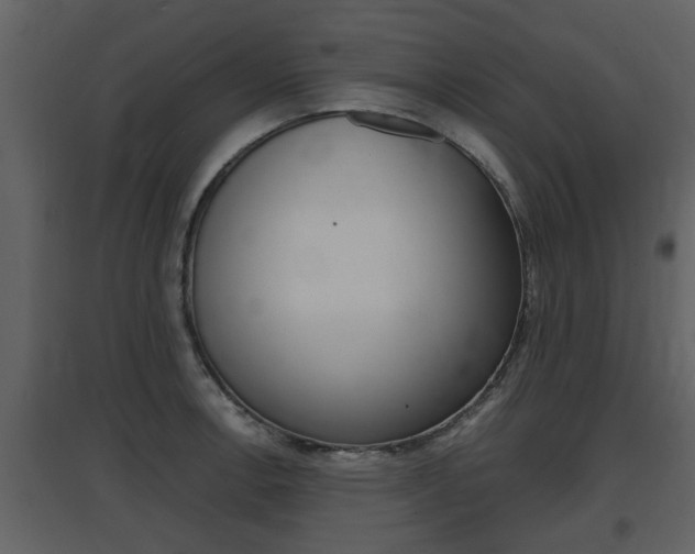 X0000097841138200803140829