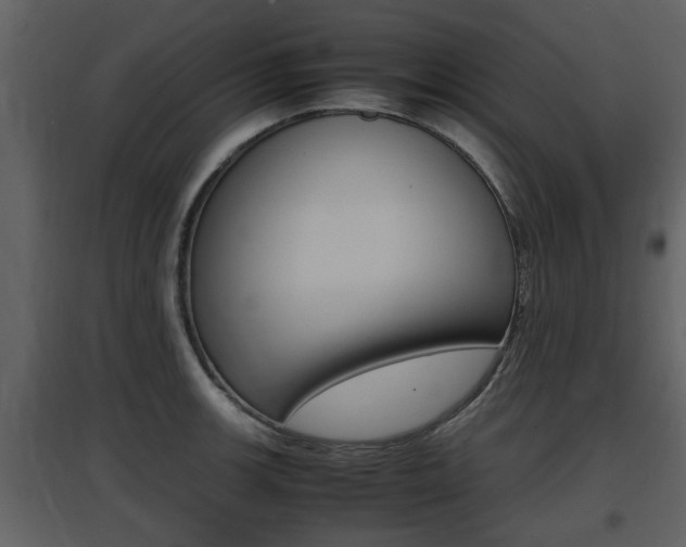 X0000097841139200803140829