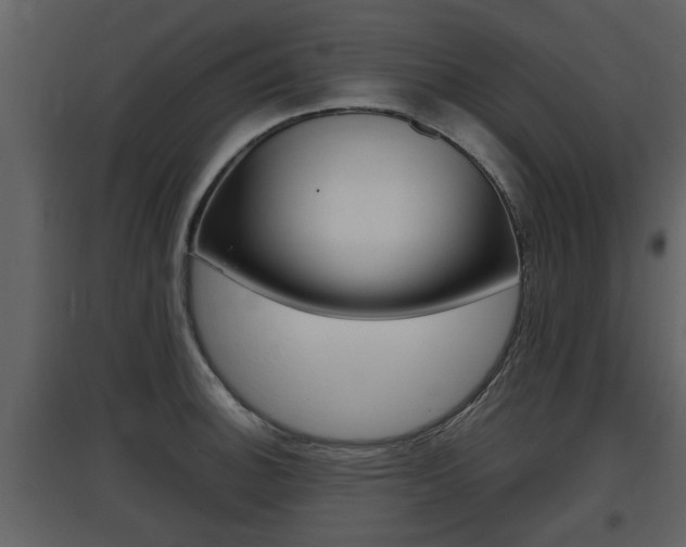 X0000097841140200803140829