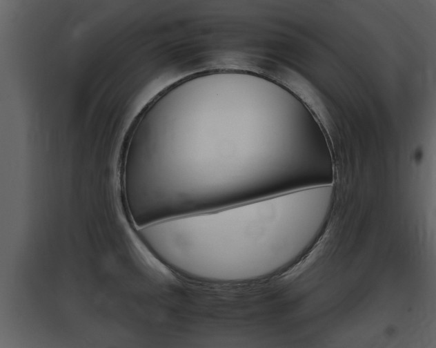 X0000097841141200803140829