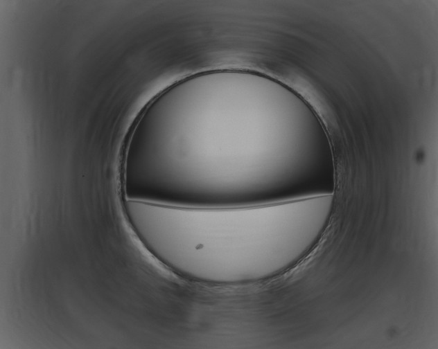 X0000097841142200803140829