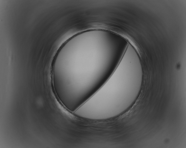 X0000097841143200803140829